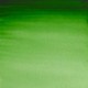 WN  HOOKER’S GREEN
